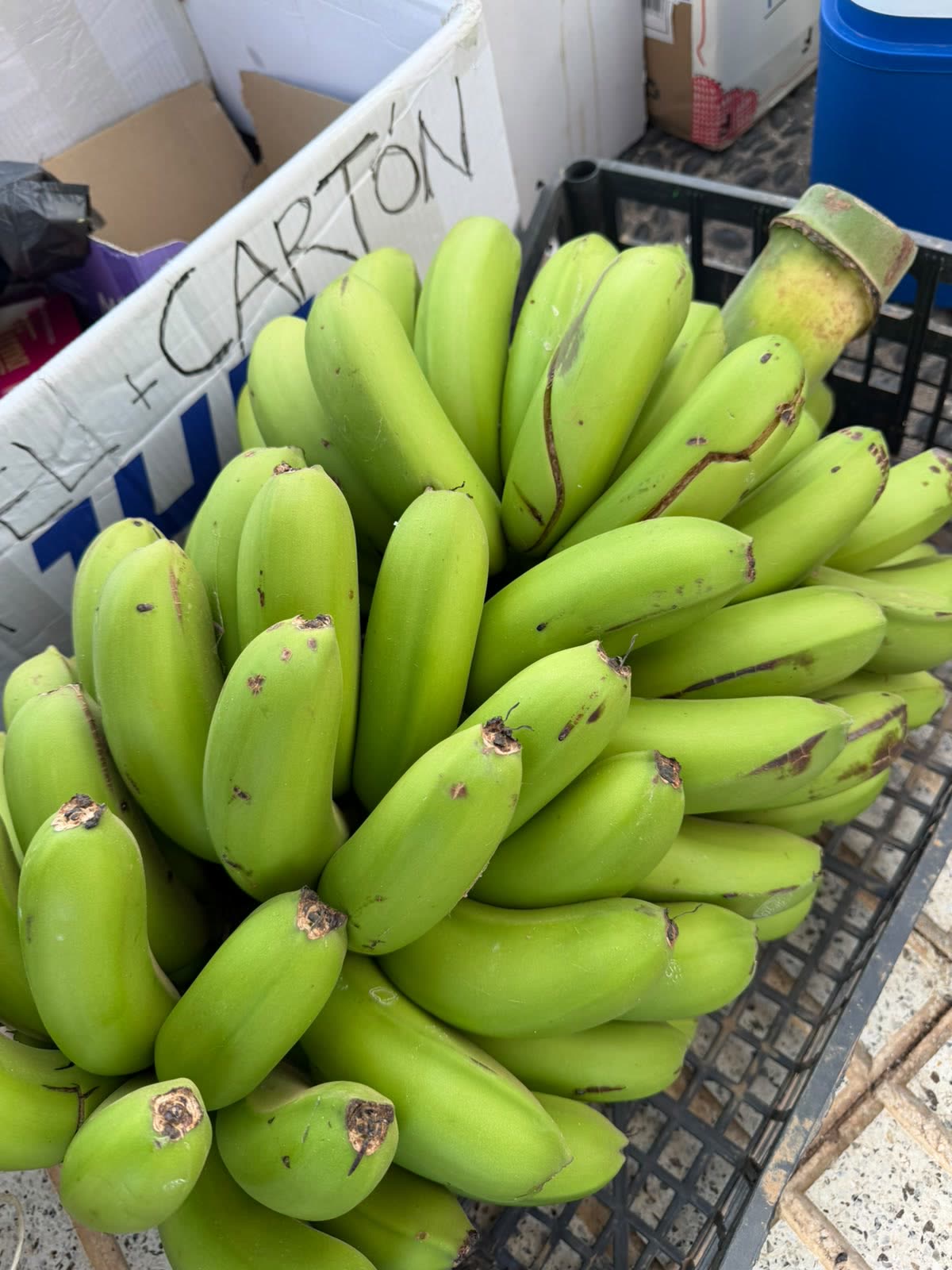 Una piña de plátanos donada en la zona de comida